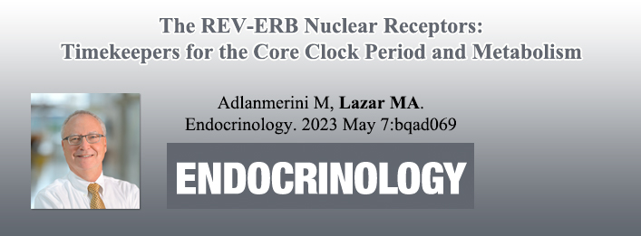 Michell Lazar Publication Endocrinology 2023